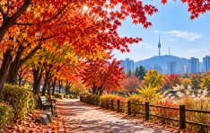  ���츮 ���� ��ǳ ���� ����?��  �ּҸ� �˻��ϸ� �ٷ� �˷��ش�